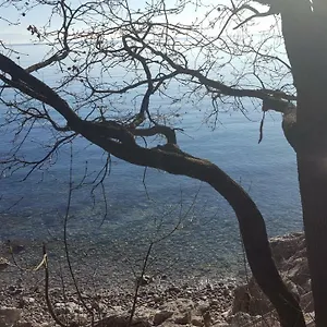 https://apartment-sandi-rijeka.primorje-gorskikotar.com